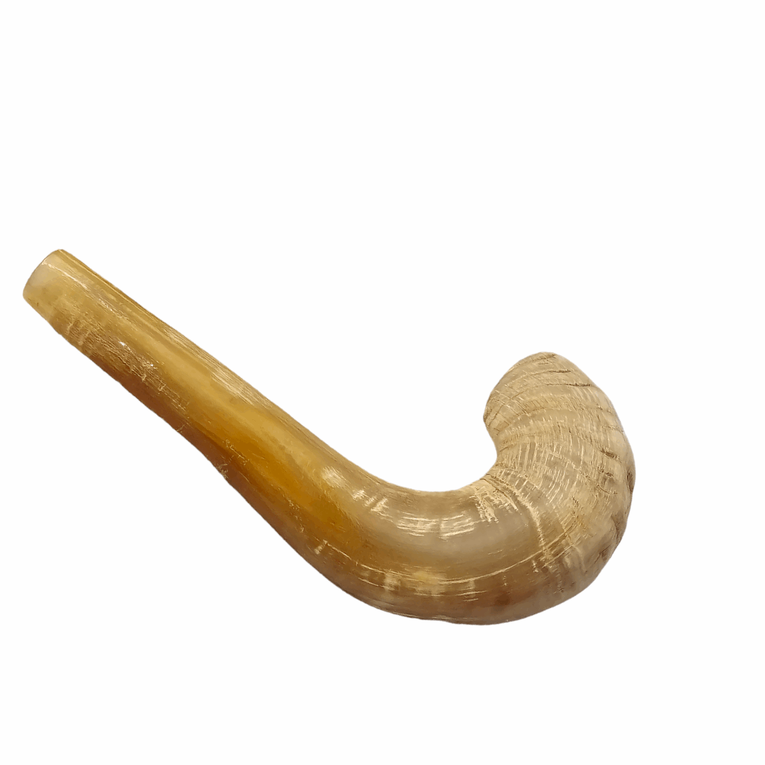 Shofar de Carnero Chico 1 (entre 18 y 22 cm / CA-CH1)