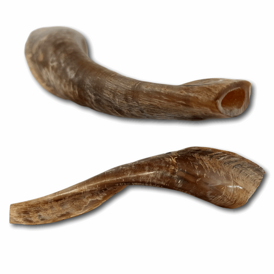 Shofar Caprino XS (hasta 20 cm / CH-J)