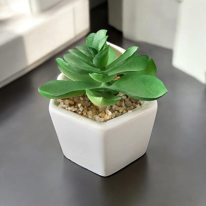 Planta artificial 1606